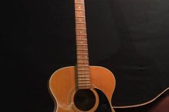 Unveiling the Acoustic Hondo Guitar: A Journey of Discovery and Insight - Master the Art of Playing Guitar and Play Like a Pro