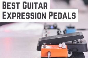 Unveiling the Ultimate Expression Pedal for Guitar: Discoveries and Insights Master the Art of Playing Guitar and Play Like a Pro Unveiling the Ultimate Expression Pedal for Guitar: Discoveries and Insights - Master the Art of Playing Guitar and Play Like a Pro