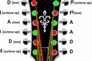 Unveil the Secrets of the 12-String Guitar: Discover Its Intricate Parts - Master the Art of Playing Guitar and Play Like a Pro