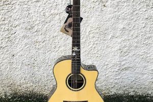 Unveiling the World of Amplified Acoustic Guitars: Uncover Hidden Gems and Expert Insights Master the Art of Playing Guitar and Play Like a Pro Unveiling the World of Amplified Acoustic Guitars: Uncover Hidden Gems and Expert Insights - Master the Art of Playing Guitar and Play Like a Pro