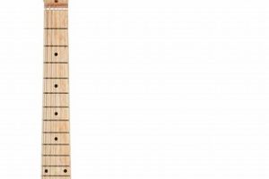 Unleash Your Electric Potential: Discover the Top 30 Electric Guitars - Master the Art of Playing Guitar and Play Like a Pro