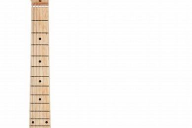 Unleash Your Electric Potential: Discover the Top 30 Electric Guitars - Master the Art of Playing Guitar and Play Like a Pro