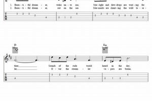 Unveiling the Secrets of Beautiful Dreamer Guitar Chords: A Journey of Discovery - Master the Art of Playing Guitar and Play Like a Pro