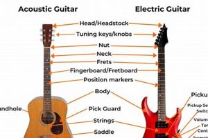 Discover the Secrets of Electric Guitar Terminology: A Journey to Sonic Mastery - Master the Art of Playing Guitar and Play Like a Pro