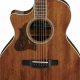 Unveiling the Secrets of Ibanez Acoustic Left Handed Guitars - Master the Art of Playing Guitar and Play Like a Pro