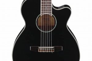 Discover the Enchanting World of Ibanez Nylon Electric Guitars - Master the Art of Playing Guitar and Play Like a Pro