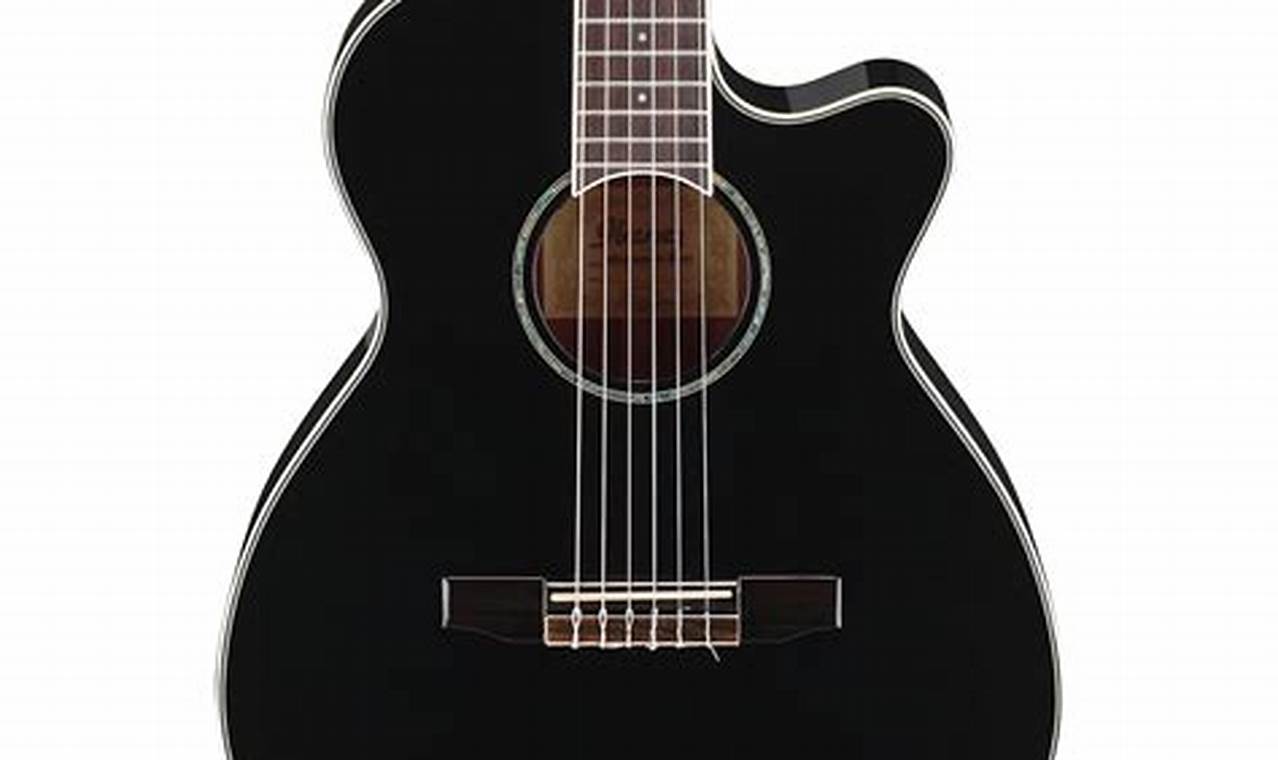 Discover the Enchanting World of Ibanez Nylon Electric Guitars - Master the Art of Playing Guitar and Play Like a Pro