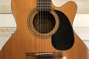 Unlock the Enchanting World of Jasmine Acoustic Electric Guitars: A Journey of Discovery - Master the Art of Playing Guitar and Play Like a Pro