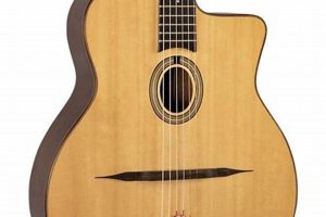 Unveiling the Secrets of the Jazz Acoustic Guitar: A Journey of Discovery and Insight - Master the Art of Playing Guitar and Play Like a Pro