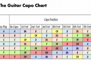 Discover the Power of Chords: Unlock Endless Possibilities with Capo Chord Charts! - Master the Art of Playing Guitar and Play Like a Pro