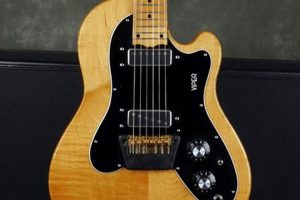 Unveiling the Sonic Prowess: Discoveries with the Ovation Viper Electric Guitar Master the Art of Playing Guitar and Play Like a Pro Unveiling the Sonic Prowess: Discoveries with the Ovation Viper Electric Guitar - Master the Art of Playing Guitar and Play Like a Pro