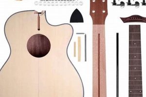 Craft Your Dream Acoustic: Unravel the Secrets of Make Your Own Acoustic Guitar Kits Master the Art of Playing Guitar and Play Like a Pro Craft Your Dream Acoustic: Unravel the Secrets of Make Your Own Acoustic Guitar Kits - Master the Art of Playing Guitar and Play Like a Pro