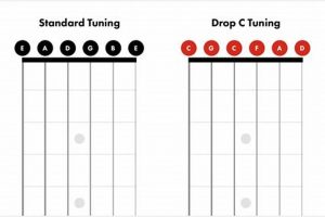 Unleash the Power of Drop C: Uncover the Ultimate Guitar Strings for Seismic Riffs - Master the Art of Playing Guitar and Play Like a Pro