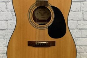 Unveiling the S101 Standard Electric Guitar: A Journey of Discovery - Master the Art of Playing Guitar and Play Like a Pro