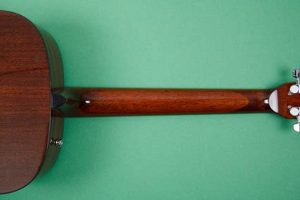 Unveil the Secrets of the Neck Acoustic Guitar: Discoveries and Insights for the Acoustic Niche - Master the Art of Playing Guitar and Play Like a Pro