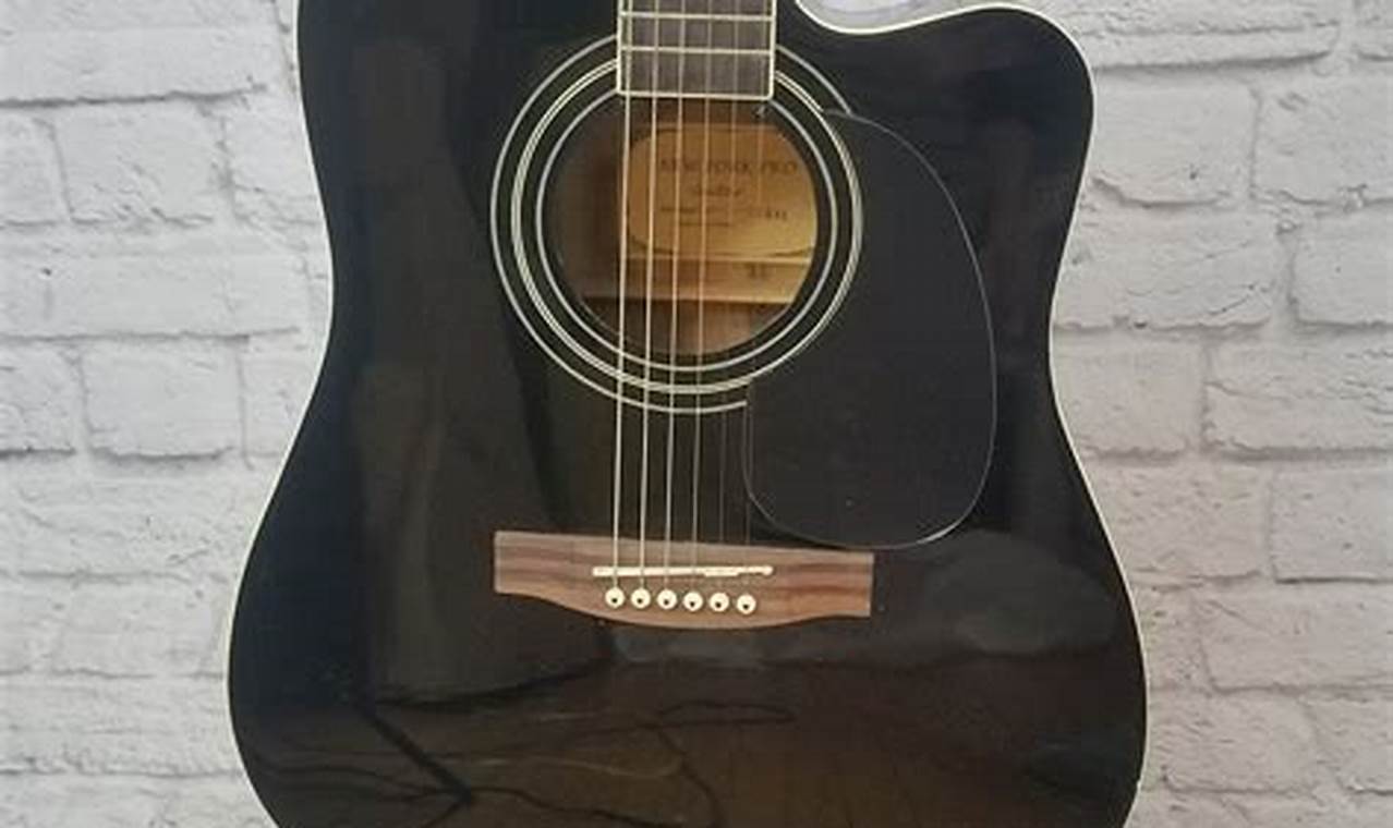 Unveil the Secrets of New York Pro Acoustic Guitars: A Journey to Sonic Excellence Master the Art of Playing Guitar and Play Like a Pro Unveil the Secrets of New York Pro Acoustic Guitars: A Journey to Sonic Excellence - Master the Art of Playing Guitar and Play Like a Pro