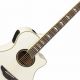 Unveiling the Electric Acoustic Guitar: A Guide to White-Hot Sound and Style - Master the Art of Playing Guitar and Play Like a Pro