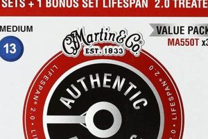 Unveiling the Secrets: Discover the Best Strings for Your Martin Guitar - Master the Art of Playing Guitar and Play Like a Pro