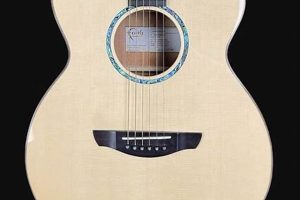Unveil the Secrets of Faith Acoustic Guitars: Discoveries and Insights for the Acoustic Niche - Master the Art of Playing Guitar and Play Like a Pro