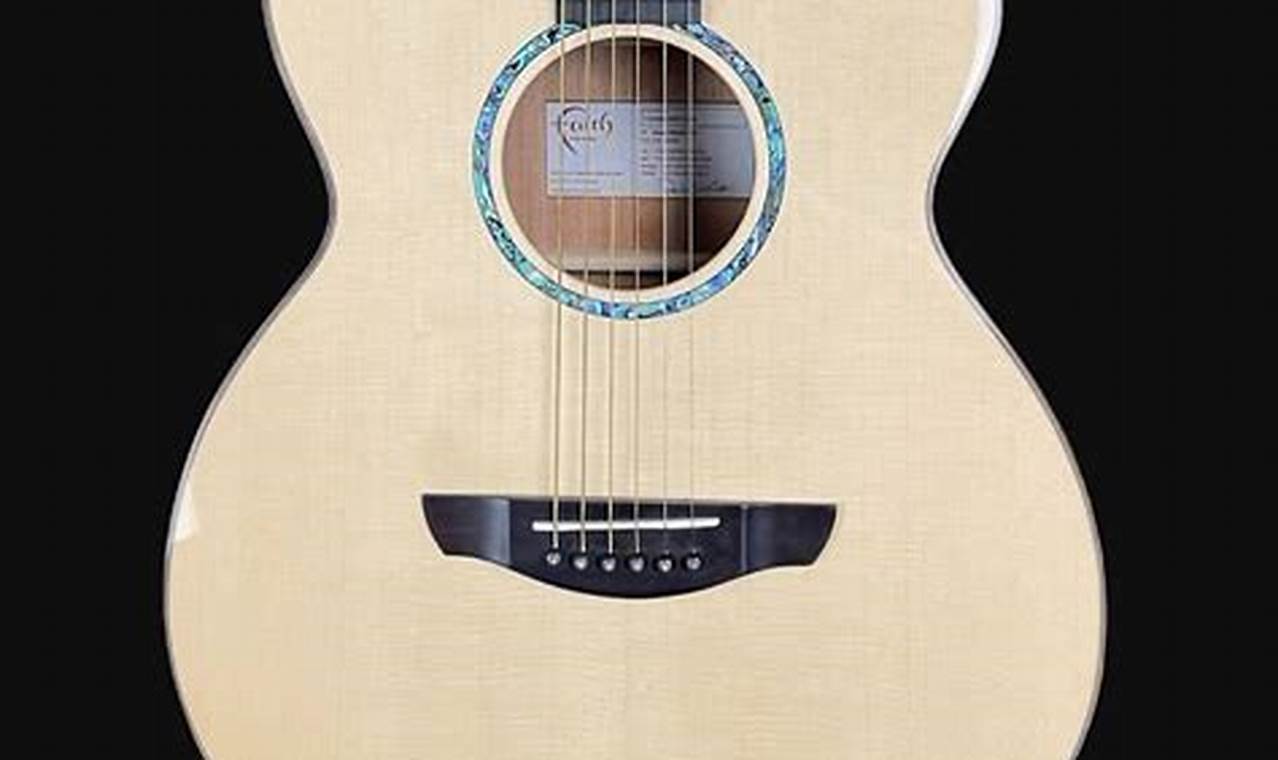 Unveil the Secrets of Faith Acoustic Guitars: Discoveries and Insights for the Acoustic Niche - Master the Art of Playing Guitar and Play Like a Pro