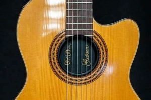 Unlock the Enchanting World of Chet Atkins Nylon String Guitars: Discoveries and Revelations - Master the Art of Playing Guitar and Play Like a Pro