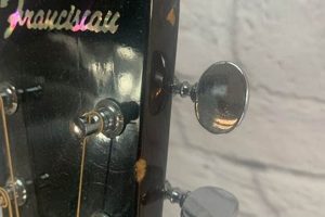 Unveiling the Enchanting World of Franciscan Acoustic Guitars: A Journey of Discovery and Inspiration - Master the Art of Playing Guitar and Play Like a Pro