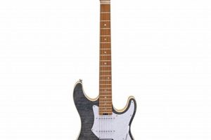 Unveiling the Fullerton Electric Guitar: A Journey of Discovery and Sonic Delights - Master the Art of Playing Guitar and Play Like a Pro