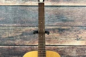 Uncover the Harmony of Vintage Acoustic Guitars: A Journey of Discovery and Delight - Master the Art of Playing Guitar and Play Like a Pro