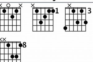 Unlock the Enigmatic bbmaj9: Discoveries and Insights for Guitarists - Master the Art of Playing Guitar and Play Like a Pro