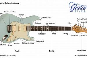 Unveiling the Intricacies of Electric Guitar Anatomy: A Journey of Discovery - Master the Art of Playing Guitar and Play Like a Pro