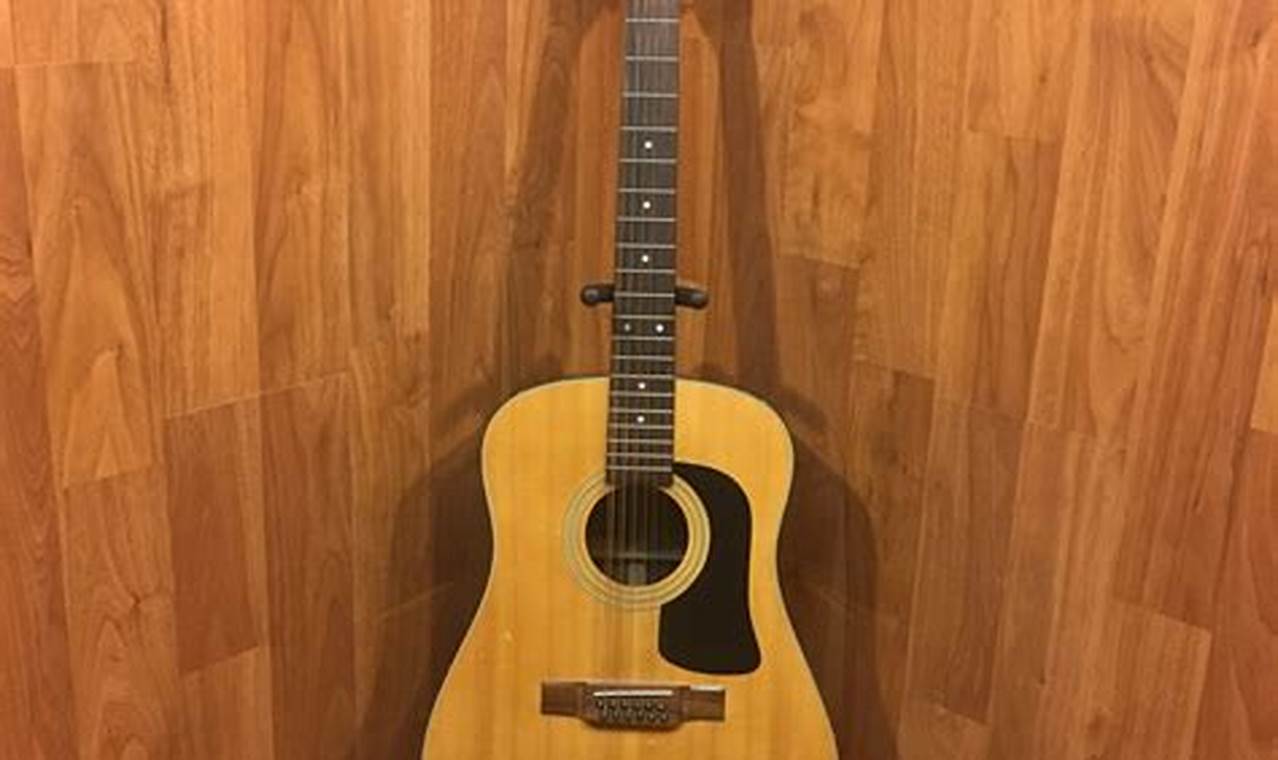 Unveiling the Secrets of Washburn Acoustic Guitars with 12 Strings Master the Art of Playing Guitar and Play Like a Pro Unveiling the Secrets of Washburn Acoustic Guitars with 12 Strings - Master the Art of Playing Guitar and Play Like a Pro