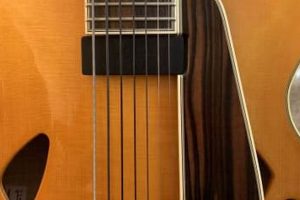 Unveiling the Enigmatic World of the 7-String Moll Guitar: Discoveries and Insights - Master the Art of Playing Guitar and Play Like a Pro