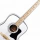 Unveiling the Enchanting World of White Acoustic Guitars: A Journey of Discovery - Master the Art of Playing Guitar and Play Like a Pro