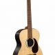 Unveiling the Secrets of the 00 Acoustic Guitar: A Journey of Discovery and Inspiration - Master the Art of Playing Guitar and Play Like a Pro