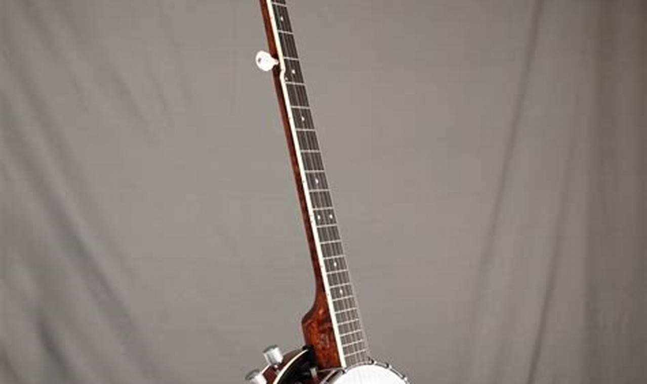 Unleash the Electrified Banjo: Discoveries and Insights into the Banjo Electric Guitar - Master the Art of Playing Guitar and Play Like a Pro