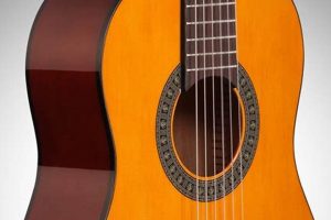 Unveiling the Secrets of 1/2 Size Acoustic Guitars: A Journey into Sound and Playability - Master the Art of Playing Guitar and Play Like a Pro