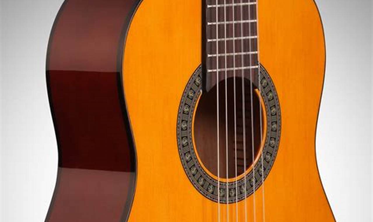 Unveiling the Secrets of 1/2 Size Acoustic Guitars: A Journey into Sound and Playability - Master the Art of Playing Guitar and Play Like a Pro