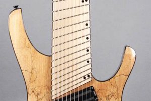 Unveil the Sonic Wonders of the 10-String Acoustic Guitar - Master the Art of Playing Guitar and Play Like a Pro