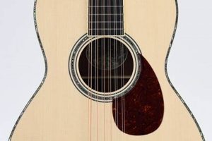 Unveil the Allure of Parlor 12 String Guitars: A Journey of Sonic Delights - Master the Art of Playing Guitar and Play Like a Pro