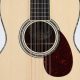 Unveil the Allure of Parlor 12 String Guitars: A Journey of Sonic Delights - Master the Art of Playing Guitar and Play Like a Pro