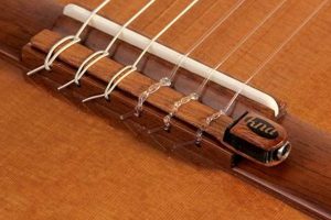 Unleash the Sonic Potential of Your Nylon String Guitar: Discover the Ultimate Pickup Guide - Master the Art of Playing Guitar and Play Like a Pro