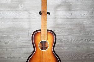 Unveil the Secrets of Regal Acoustic Guitars: Discoveries and Insights - Master the Art of Playing Guitar and Play Like a Pro