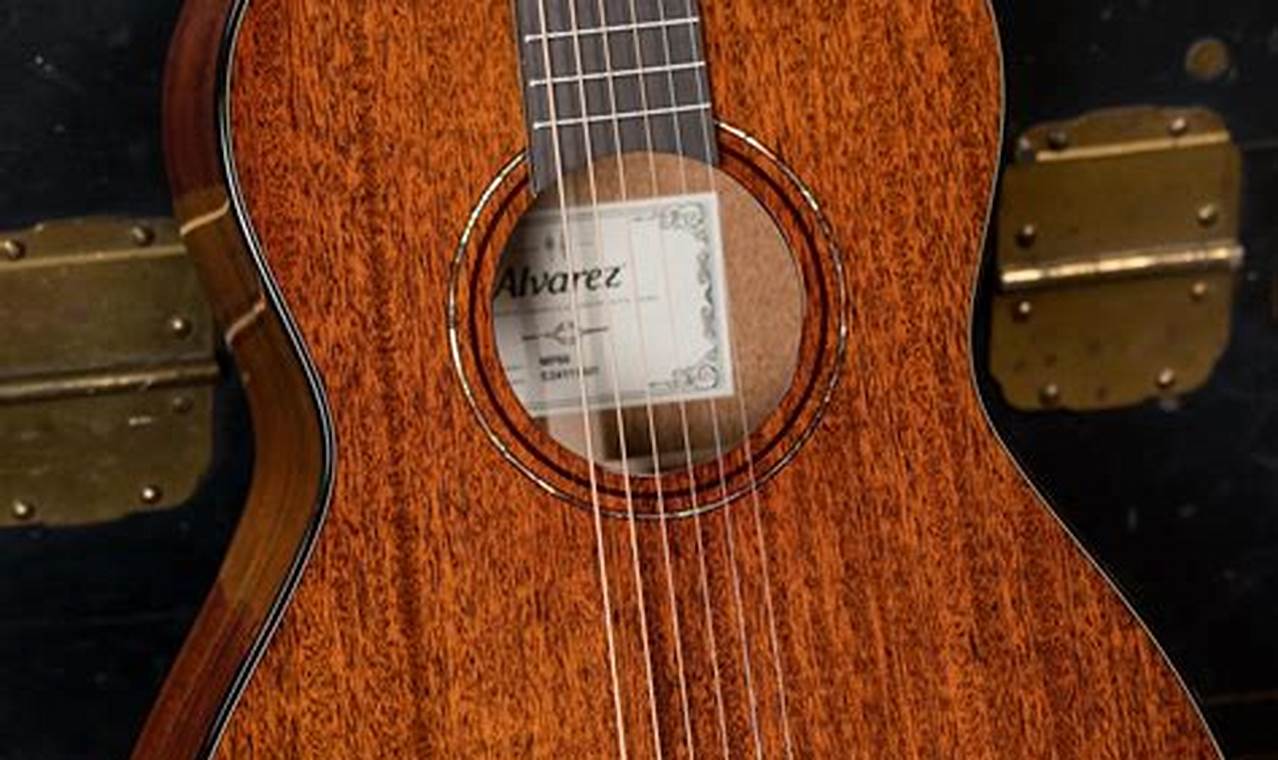 Discover the Acoustic Alvarez Guitar: Unlocking Sonic Excellence - Master the Art of Playing Guitar and Play Like a Pro