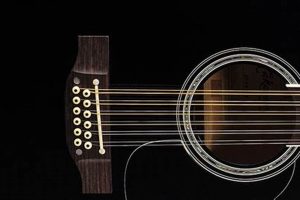 Unveil the Enchanting World of the Requinto Guitar 12-String - Master the Art of Playing Guitar and Play Like a Pro