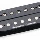 Discover the Secrets to Exceptional Guitar Sound: Unveiling Seymour Duncan 7 String Guitar Pickups - Master the Art of Playing Guitar and Play Like a Pro