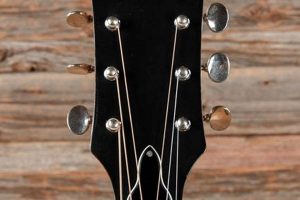 Discover the Enchanting World of Sekova Acoustic Guitars - Unlocking Sonic Excellence - Master the Art of Playing Guitar and Play Like a Pro