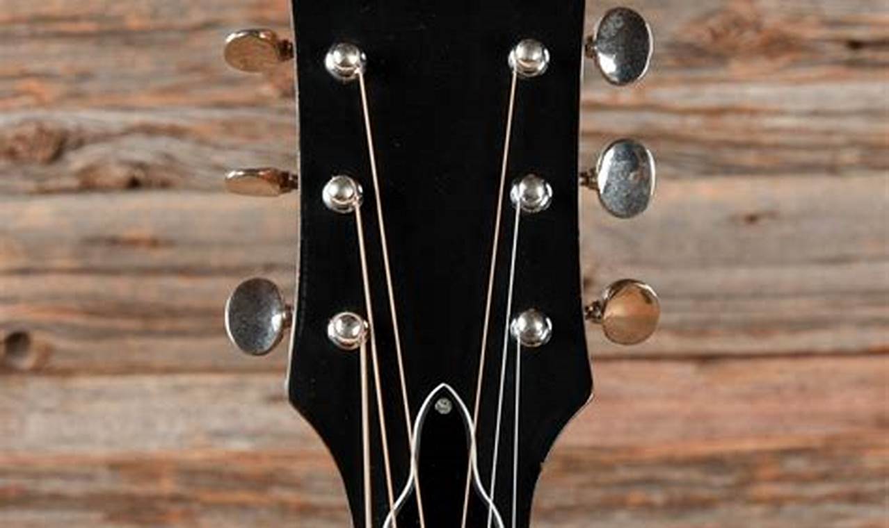 Discover the Enchanting World of Sekova Acoustic Guitars - Unlocking Sonic Excellence - Master the Art of Playing Guitar and Play Like a Pro