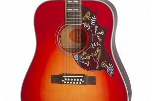 Unveiling the Hummingbird 12 String Guitar: A Journey of Exceptional Sound and Playability - Master the Art of Playing Guitar and Play Like a Pro