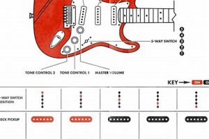 Unveiling the Secrets: What the Switch on Your Electric Guitar Can Do - Master the Art of Playing Guitar and Play Like a Pro