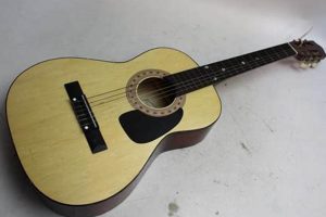 Unveiling the Acoustic Masterpiece: Discover the Secrets of Synsonics Acoustic Guitar - Master the Art of Playing Guitar and Play Like a Pro